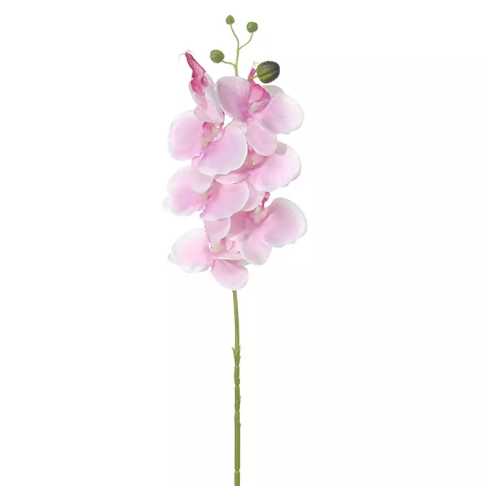 Kunstbloem Phalaenopsis Roze Top Tuincentrum