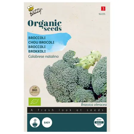 Biologische Broccoli Calabrese natalino - afbeelding 1