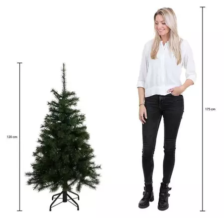 Charlton kerstboom led groen 80L TIPS 220 - h120xd76cm