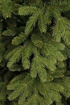 Brampton kerstboom slim groen - h215 x d125cm