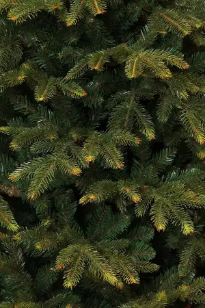 Frasier kerstboom groen - h215 x d145cm