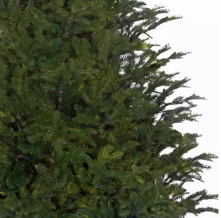 Frasier kerstboom groen - h215 x d145cm