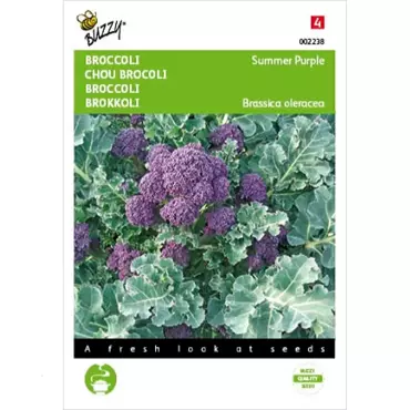 Broccoli Summer Purple - afbeelding 1