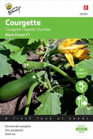 Courgette black forest f1 6zdn - afbeelding 1