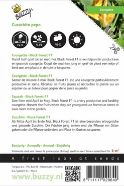 Courgette black forest f1 6zdn - afbeelding 2