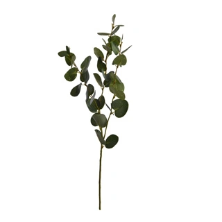 Eucalyptustak x3 l77cm groen
