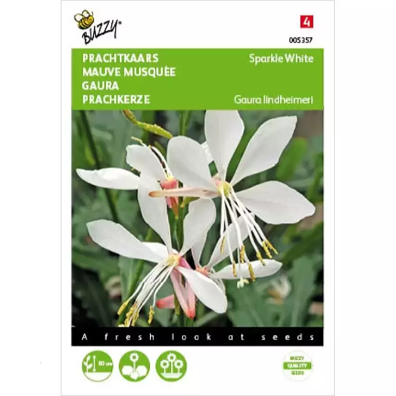 Buzzy® Gaura lindheimerii Sparkle White