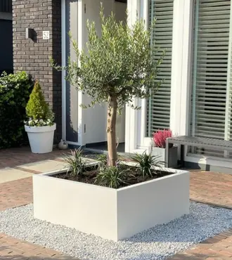 GLM plantenbak Lyon met bodem 75x75x40cm - afbeelding 1