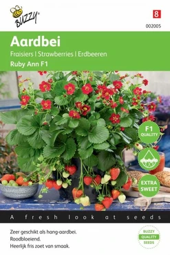 Hangaardbei ruby ann f1 7zdn - afbeelding 1