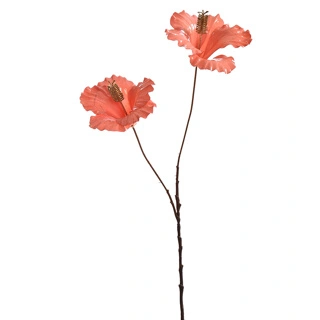 Hibiscus x2 l60cm zalm