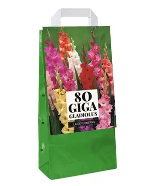JUB Tas 80 Gladiolus mix