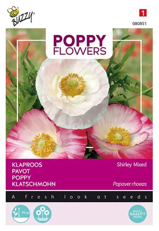 Klaproos poppies of the world mx 1g - afbeelding 1