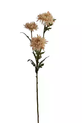 Kunstbloem Aster 73cm - Beige