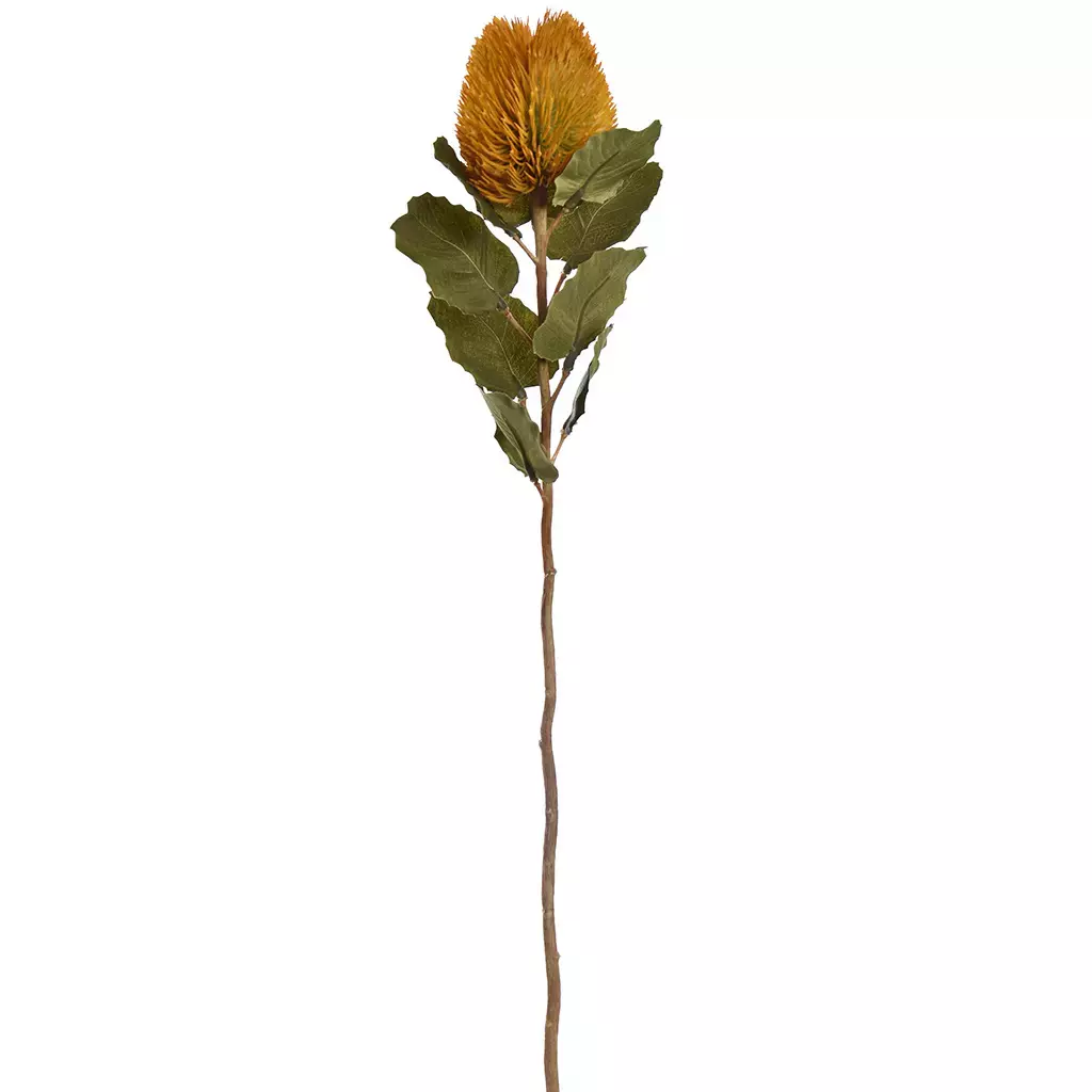 Kunstbloem Banksia 59cm - Geel
