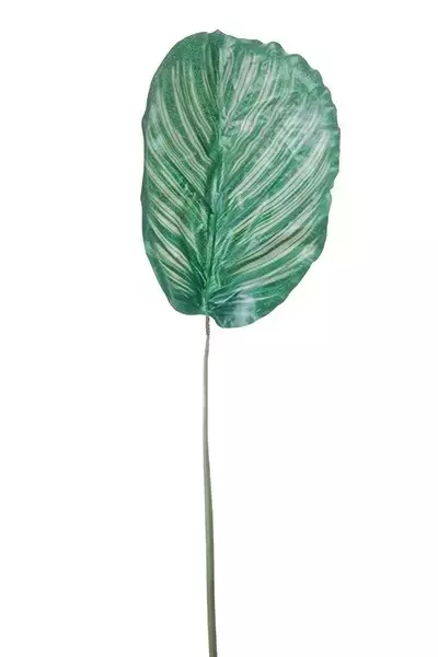 Kunstbloem Calathea blad 28cm - Groen