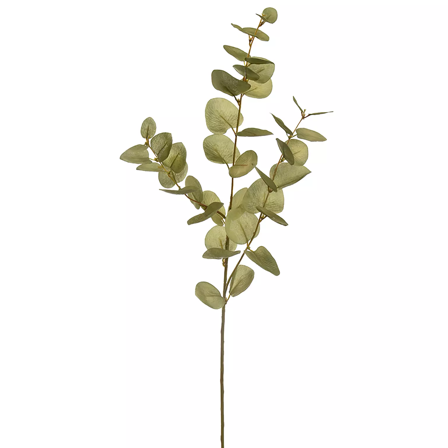 Kunstbloem Eucalyptustak 75cm - groen