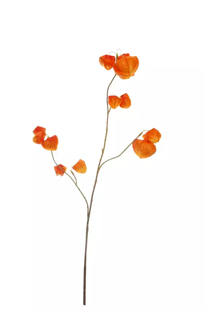 Kunstbloem Houzuki 80cm - Oranje