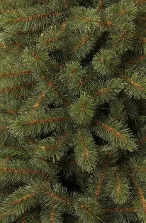 Toronto kerstboom groen - h155 x d102cm