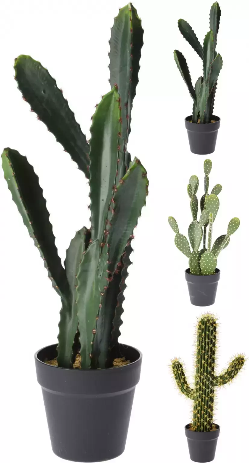Dwang Hoeveelheid van ruimte Kunstplant cactus in pot 56cm - 3 soorten - Top Tuincentrum