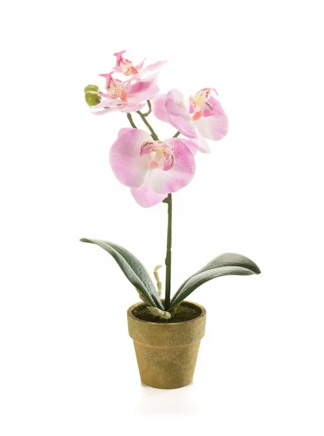 Kunstplant Phalaenopsis Mini Roze - 25cm