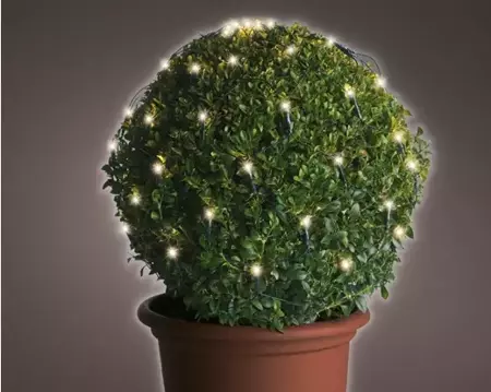 Lumineo Netverlichtingled buxus ø35cm 60led warm wit - afbeelding 3