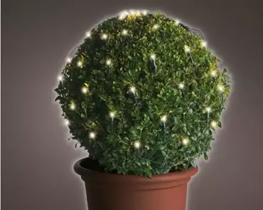 Lumineo Netverlichtingled buxus ø80cm 120led warm wit - afbeelding 3