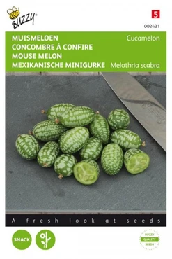 Muismeloen, Cucamelon - afbeelding 1