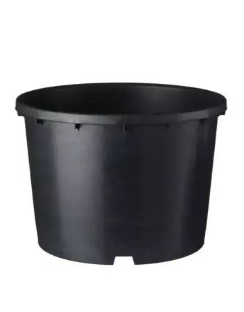 Nature Plantcontainer Ritzi 15l - Zwart