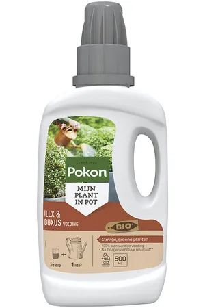 Pokon Bio Buxus & Ilex Voeding 500ml - afbeelding 1