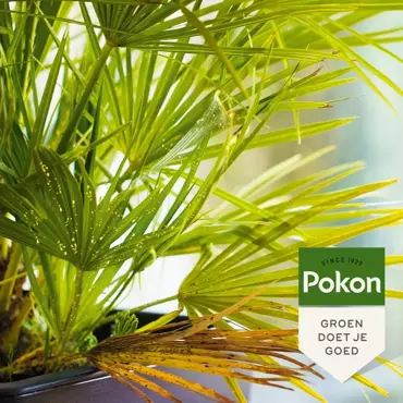 Pokon Bio Tegen Hardnekkige Insecten Polysect Spray 800ml - afbeelding 4