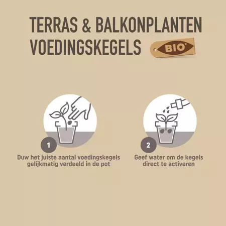 Pokon Bio Terras en Balkon Planten Voedingskegels 15st - afbeelding 5