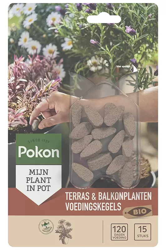 Pokon Bio Terras En Balkon Planten Voedingskegels 15st Top Tuincentrum