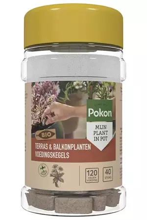 Pokon Bio Terras en Balkon Planten Voedingskegels 40st - afbeelding 1