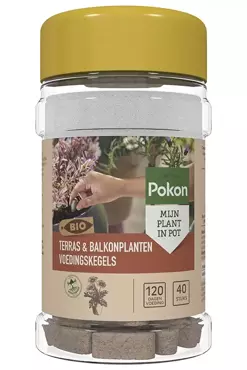 Pokon Bio Terras en Balkon Planten Voedingskegels 40st - afbeelding 1