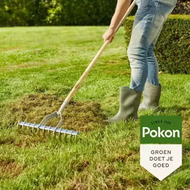 Pokon Grasz herstel 250g - afbeelding 3