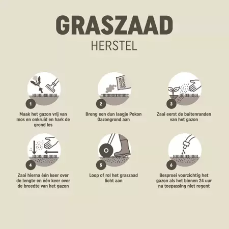 Pokon Graszaad herstel 1kg - afbeelding 5