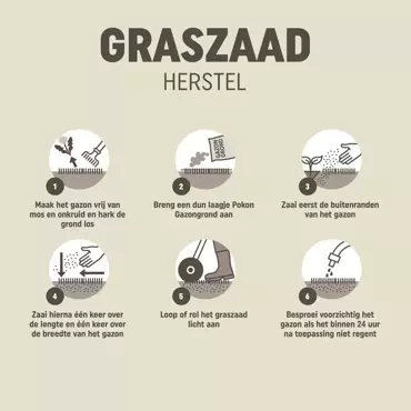 Pokon Graszaad herstel 1kg - afbeelding 5