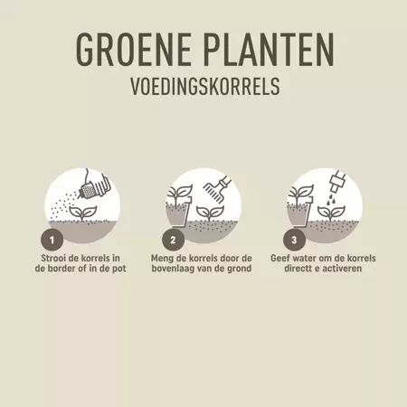 Pokon Groene Planten Voedingskorrels 800gr - afbeelding 5