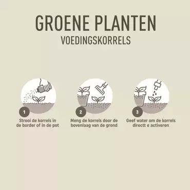 Pokon Groene Planten Voedingskorrels 800gr - afbeelding 5