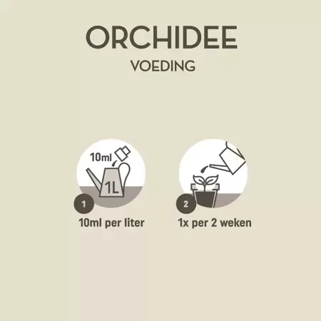 Pokon Orchidee Voeding 250ml - afbeelding 5