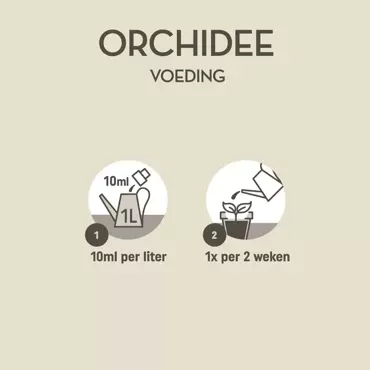 Pokon Orchidee Voeding 250ml - afbeelding 5