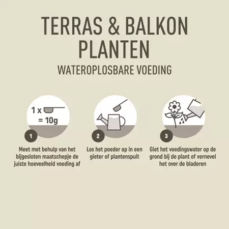 Pokon Terras & Balkon Planten Voeding Wateroplosbare Voeding 500gr - afbeelding 5