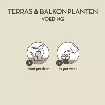 Pokon Terras en Balkon Planten Voeding 1L - afbeelding 4