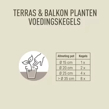 Pokon Terras en Balkon Planten Voedingskegels 40st - afbeelding 5