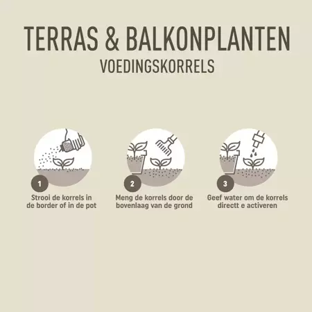 Pokon Terras en Balkon Planten Voedingskorrels 800gr - afbeelding 5