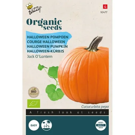 Pompoen jack olantern (bio) - afbeelding 1