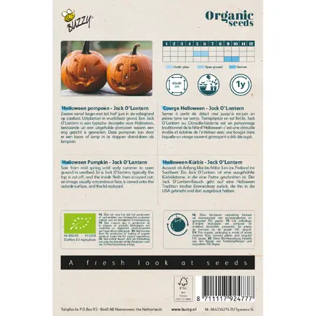 Pompoen jack olantern (bio) - afbeelding 2