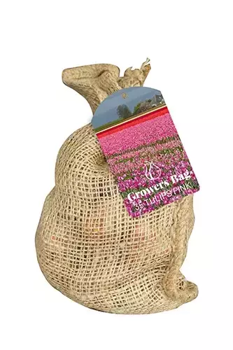 X 1 Zak Growers Bag Pink Tulips