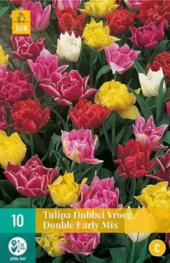 X 7 Tulipa Dubbel Vroeg mix - afbeelding 1