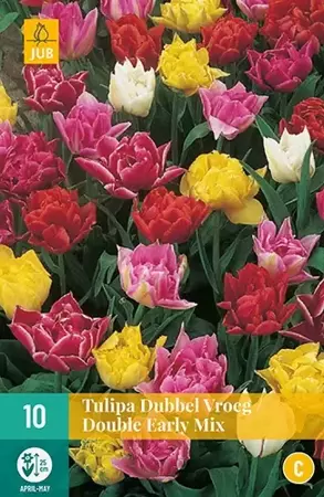 X 7 Tulipa Dubbel Vroeg mix - afbeelding 2